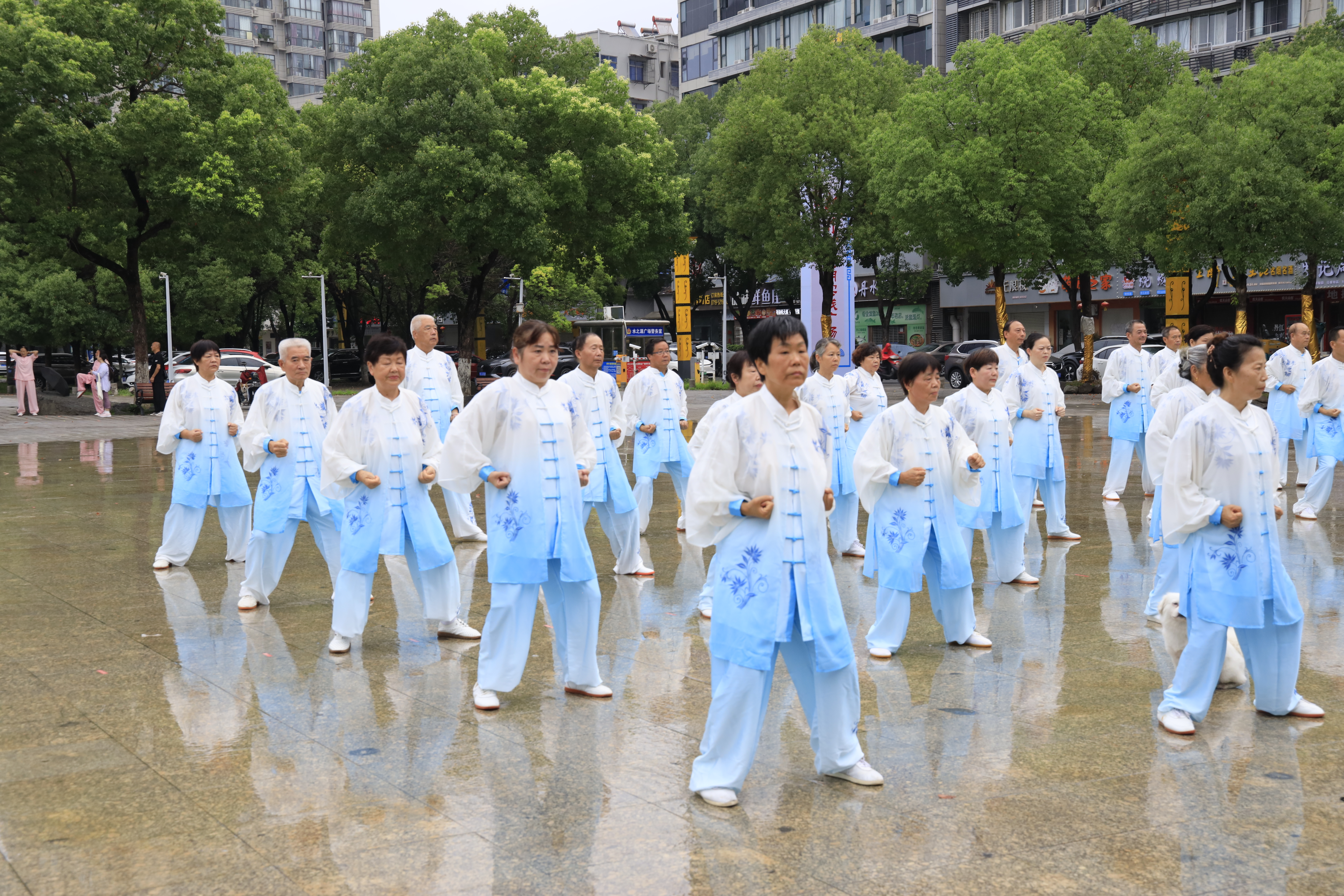 必一运动市老年大学展开第十一届“国际瑜伽日”全民健身公益举动(图3)