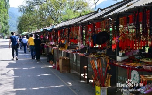 必一体育合适小公园小买卖(图1)